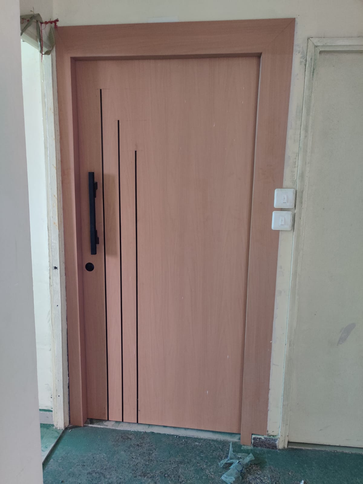 Modern Door Veneer